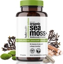 Organic Irish Sea Moss Capsule: Wildcrafted Sea Moss, Brodock Root & Bladderwrack Super Food Prebiotic pentru suport imunitar, Suport tiroidian, Natural Energy, -120 Caps