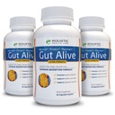 Gut Alive - tot sprijinul natural pentru a lupta IBS, arsuri la stomac, indigestie acidă, Reflux acid, Blooting & Gas. Formulare unica (60 Count (Pachet de 3))