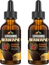 Berberine Supliment cu Ceylon Scorțișoară 3000mg - Biodisponibilitatea ridicată Picături lichide lipozomale Berberine, Berberine HCL Complex Plus Suplimente Turmerice, Activator AMPK, Potrivit pentru femei, Men-120ml