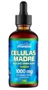 Celulas Madres Cell Cell Support, Plant-Based, Adaptogen Blend,Cordyceps, Rhodiola Rosea, Afa, Astragalus, B Complex, Reishi, Ganoderma, Blue-Green Algae, Spirulina, 1000mg Natural 13 Ingrediente cheie.
