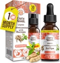 GuruNanda Liquid Ashwagandha cu Bacopa (1 Fl Oz) - Supliment alimentar natural- Drops de extract lichid - pentru bărbați și femei- Vegan și alcool-Free - SIDA în sprijinul imun, focalizare și relaxare