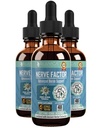 Rejuvica Health NerveFactor - Advanced Nervie Supplement - Livrare lichida pentru o mai buna absorbtie - Acetil-L-Carnitina, Alfa Acid lipoic, Vitamina B12, Acid folic, White Willow Bark & More!