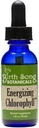 Nastere Song Botanics Energizant Clorofila Tinctura, Super Concentrat Clorofila lichid picaturi, Herbal Energy Supplement si Deodorizer intern, Mint Flavor 1 oz flacon