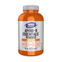 Now Sports Nutrition, Amino-9 EssentialsTM Powder, Enhanced Protein Sinteza, Amino Acids, 330-Grams