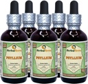 Psyllium (Plantago Ovata) Glicerite, Extract lichid organic uscat de husă fără alcool (Brand Name: HerbalTerra, Proudly Made in USA) 5x2 fl.oz (5x60 ml)