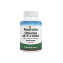 Herbs Real Stinging Nettle Root Extract 7500 mg (750 mg de 10:1 extract) 