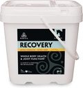 PURICA Recuperare Putere suplimentara - Supliment comun Equine - Suport cuprinzător pentru cai - Supliment comun ideal pentru cai seniori, MSM pulbere inclus - 11 lb pulbere