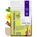 Zi de ajutor Patch - Arnica, salcie albă, Saffron și mentă pentru durere și disconfort pentru femei și bărbați