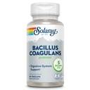 SOLARAY Bacillus Coagulans Probiotic - 5 miliarde Microorganisme vii - Digestion and Gut Health Support - Full Body Health Probiotics with Inulin Prebiotic Fiber, 60-Day Guarantee, 30 Serv, 60 VegCaps