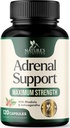 Suplimente de suport suprarenal Cortex Complex, Cel mai bun supliment energetic, Suportă Cortisol Sănătate & Nivele energetice, Zilnic Ashwagandha pentru Femei & Bărbați, Sprijină Oboseală suprarenală & Sistem imunitar, 120 Capsule