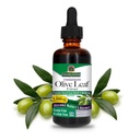 Nature's Answer Olive Leaf Extract, Alcool-Free, Non-GMO, Vegan, Gluten-Free, Made in USA, 2 Ounce 