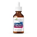 Herbal Goodness Bitter But No Crap Lichid Supliment pentru Curățarea Body, Suportul Energie și Sănătate Boost 