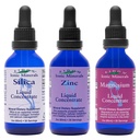 Eidon Ionic Minerale Siliciu lichid, zinc, picături de magneziu Variety Pack - Siliciu, Zinc, Suplimente de magneziu, All-Natural Trace Minerale, fără conservanți sau aditivi - 2 oz, Pachet de 3