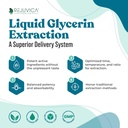 NerveFactor - Advanced Nervie Supplement - Livrare lichida pentru o mai buna absorbtie - Acetil-L-Carnitina, Acid alfa lipoic, Vitamina B12, Acid folic, White Willow Bark & More!