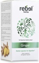 Capsule de ghimbir Rebel Extract dual puternic, non-GMO, gluten fără rădăcini de ghimbir (Rhizome) Extract