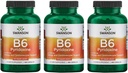 Swanson B6 Pyridoxine - Suplimentul de vitamine care promovează sănătatea cardiovasculară și metabolismul energetic - Formula naturală de promovare a bunăstării globale - (250 capsule, 100 mg fiecare) 3 ambalaj