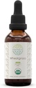 Herbera Wheatgrass B60 USDA Tinctură organică 