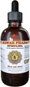 HawaiiPharm Spirulina Extract lichid, Spirulina organica (Arthrospira platensis) Tincture, Herbal Supliment, Made in USA, 2 fl.oz