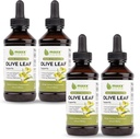 Maxx Herb Olive Leaf Extract 