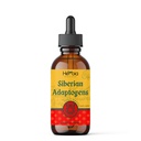 Siberian Adaptogens Herbal Blend cu Maral, Spikenard, Eleuthero, Red Ginseng, Rhodiola, Schisandra, Licorice, Peony, & More - Boosts Energy, Îmbunătățește Focus, Reduce Stresul, 2 Fluid oz (60 ml)