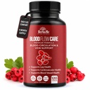 Supliment de circulatie a sangelui, 120 capsule, sustine Vena piciorului, inima, nave si sanatate cardiovasculara cu Niacin, L-Arginin, Ginger, ardei iute, Hawthorn, Diosmin, Pastile de sange