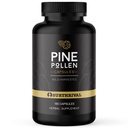 Surtrival: Pine Polen Powder Capsules (180 Count), Wild Harvested, Energy & Endurance Restauration