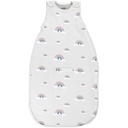 Woolino Merino Wool Ultimate Baby Sleep Sack - 4 Sezon Pat purtabil Blanket - Două-Way Zipper Sac de dormit reglabil pentru copii și copii mici - dimensiune universală (2-24 luni) - Rainbow