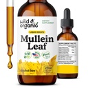 Picături sălbatice și organice de mullein pentru plămâni - Lung Detox și Cleanse - Liquid Mullein Leaf Tinctură cu Echinacea și rădăcină de lemn dulce - Vegan, Sugar & Alcool-Extract gratuit - 2 fl oz