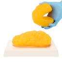 Uman corp grăsime Replica, 1 lb grăsime anatomie model pentru clasa anatomie Display, Rămâi sănătos, pierdere în greutate motivație de reamintire