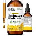 Echinacea sălbatică și organică Picături lichide Goldenseal - Supliment de sprijin imun w/Echinacea de aur - extract de rădăcină Vegan, zahăr și alcool - 2 fl oz