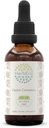 Ceylon Scorțișoară B60 Extract de plante aromatice fără alcool Tinctură, Picături lichide concentrate Scorțișoară naturală (Cinnanomum Verum) (2 fl oz)