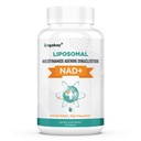 Orgabay Liposomal NAD. Supliment 500 mg, Absorbţie mare, Boost NAD+ cu TMG 250 mg, actual NAD Plus mai eficient decât Nicotinamida Ribozidă, Suport energie celulară, Îmbătrânire sănătoasă 