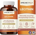 Lecitină-240 Softgels-Suports Brain Health
