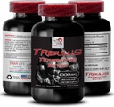 Rezistenta naturala Boost - extract TERRESTRIS TRIBULUS - Suport pentru putere si activitate, Formula de optimizare energetica, Putere de baza, Amestec de performanta a corpului, Recuperare activa, flux energetic 1Bot 90Tabs