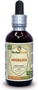 Angelica chineză (Angelica arhangelica) Tinctură, Extract lichid de rădăcină uscat organic (Brand Name: HerbalTerra, Proudly Made in USA) 2 fl.oz (60 ml)