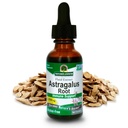 Nature's answer Astragalus Root Alcohol Free Herbal Supplement 1 Once ( 2 Pack) 
