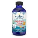 Nordic Naturals Childrens DHA, Căpșuni - 4 oz pentru copii- 530 mg Omega-3 cu EPA & DHA - Dezvoltarea creierului & Funcția - Non-GMO - 48 Serviri