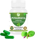 Capsule Punarnava (Boerhaavia Diffusa) 500 mg 