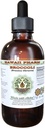 Broccoli Extract lichid fără alcool, Broccoli organice (Brassica Oleracea) Seed Glycerite Hawaii Pharm Natural Herbal Supliment 2 oz