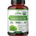 Zazzee USDA Organic Stinging Nettle 20:1 Extract, 9000 mg Putere, 120 Capsule Vegan, 4 Luna de aprovizionare, concentrat, Standardizat 20X Extract, Certified Organic, 100% Vegetarian, All-Natural, Non-GMO