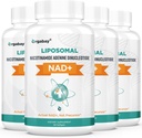 Orgabay Liposomal NAD. Supliment 500 mg, Absorbţie mare, Boost NAD+ cu TMG 250 mg, actual NAD Plus mai eficient decât Nicotinamida Ribozid, suport energie celulară, îmbătrânire sanatoasa 