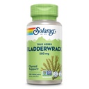 SOLARAY Bladderwrack Capsule 580 mg - Nutrient-Packed Seaweed Supliment, High in Iod - Balanced Herbal Support - Vegan, Non-GMO, 60-Day Guarantee, Lab Verified - 100 Servings, 100 VegCaps