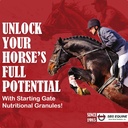 SBS Equine Starting Gate Granule - Cai Stomac Ulcer Tratamentul și Ulcer Ajutor, Cai Supliment Formula Scoop pentru Hrană, Perfect Prep ca un supliment Hoof (5 Gallon)