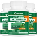 Artemisină lipozomală Suplimentul 1000mg, Extract de lemn de vierme dulce cu 200mg Querbetin Fitozom, Absorbție maximă pentru antioxidant 180 capsule