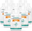 Orgabay Liposomal NAD. Supliment 500 mg, Absorbţie mare, Boost NAD+ cu TMG 250 mg, actual NAD Plus mai eficient decât Nicotinamida Ribozidă, Suport energie celulară, Îmbătrânire sănătoasă 