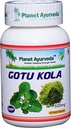 Planeta Ayurveda Gotu Kola, 500 mg Capsule Veg - flacon unic