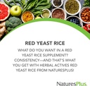 NaturesPlus Herbal Active Red Yeast Rice - 120 Capsule vegetariene, Pachet de 2 - Supliment maxim de plante de potenta - Gluten gratuit - 240 Serviri totale