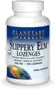 Herburi planetare Slippery Elm Lozenges, 100 Conte