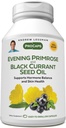 ANDREW LESSMAN Evening Primrose și Black Currant ulei de semințe 360 Softgels - Soothes Disconfort fizic și Swings Mood Datorită ciclului menstrual, cu Gamma-Linolenic, Omega-6 acizi grași, fără aditivi