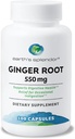 Splendor Root Ginger 550 mg Supliment pentru bărbaţi şi femei, susţine Digestive Health, No Artificial Color or Conservatives (550 mg, 100 capsule)